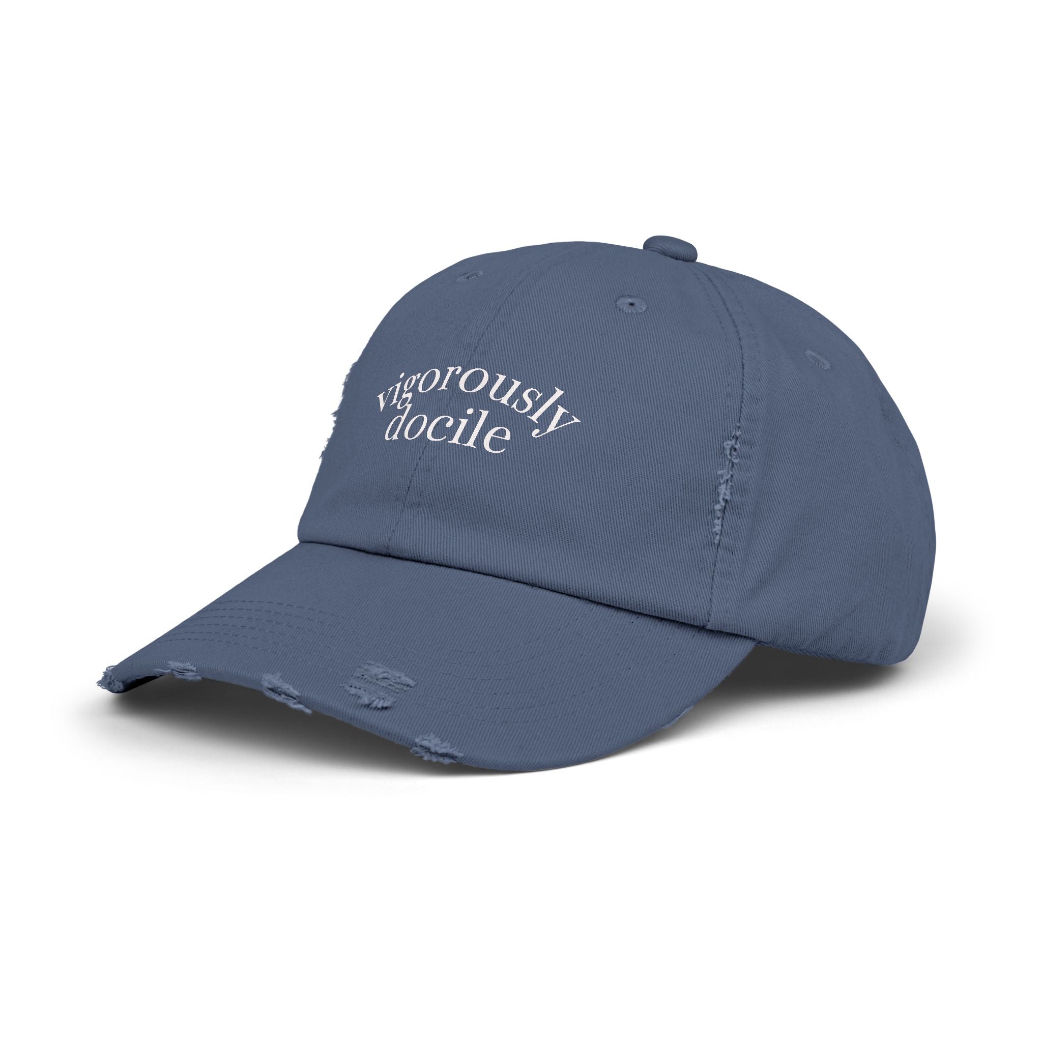 'Vigorously Docile' Embroidered Baseball Hat